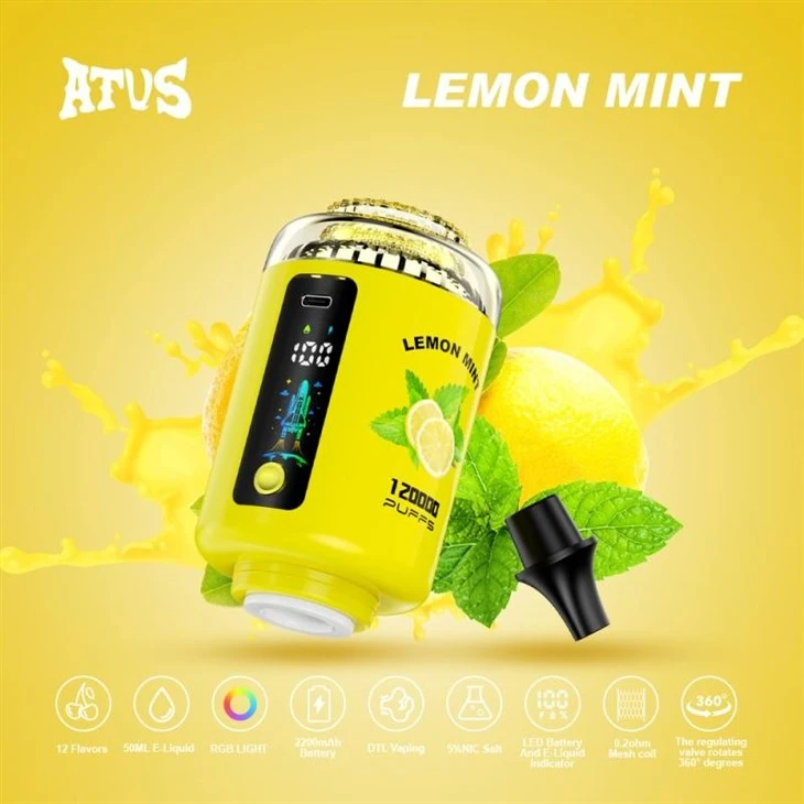 ATVS 120K PUFFS Hookah Head factory