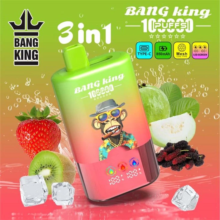 BANG KING 100000 PUFFS