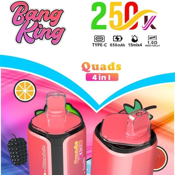 BANG KING Quads 250K 4IN1 factory
