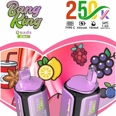 BANG KING Quads 4IN1 250000: Eine brandneue Erfahrung mit Premium-Einweg-E--Z...
