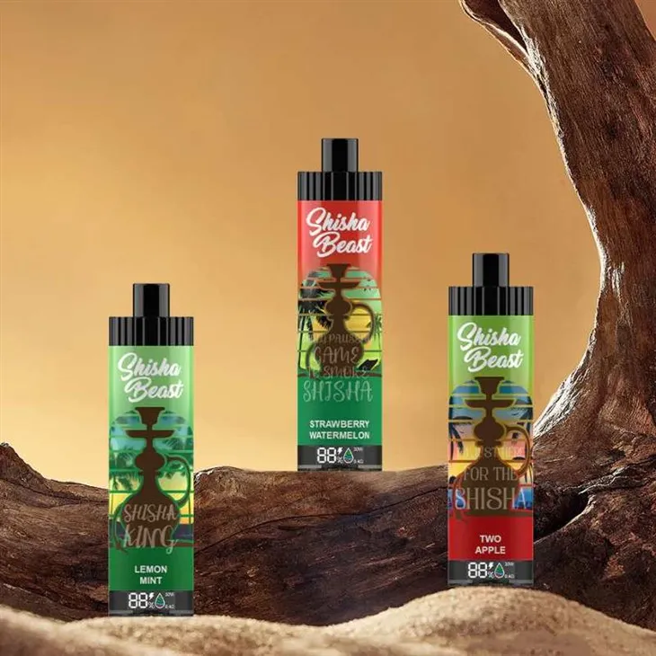 R&M Shisha Beast 2K Puffs