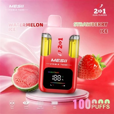MESII SICHTBARE ZWILLINGE 100K