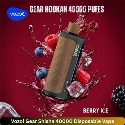 VOZOL Gear Shisha 40000 Züge