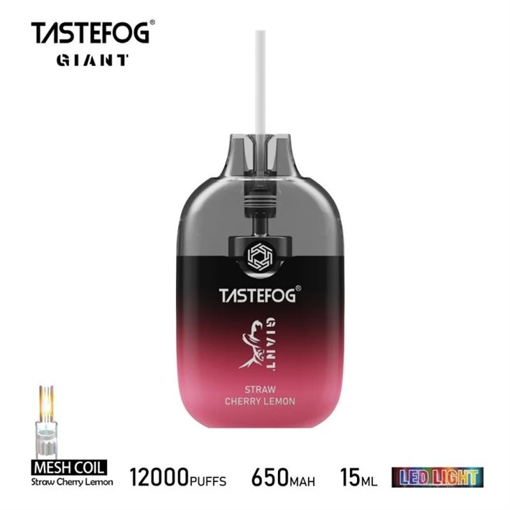 TASTEFOG GIANT 12000 1 TASTEFOG GIANT 12000 1