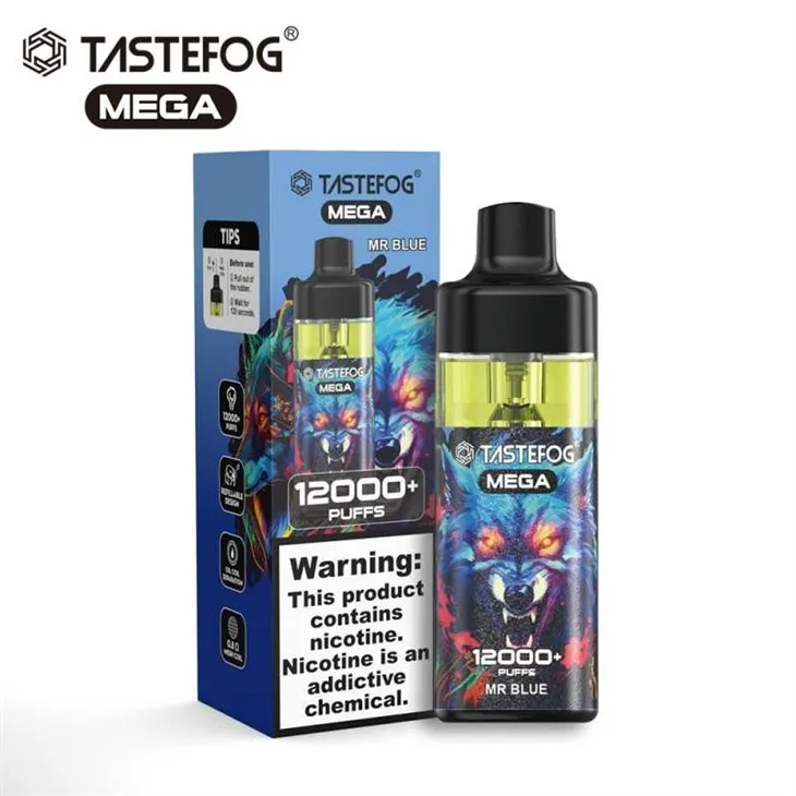 TASTEFOG MEGA 12000 3