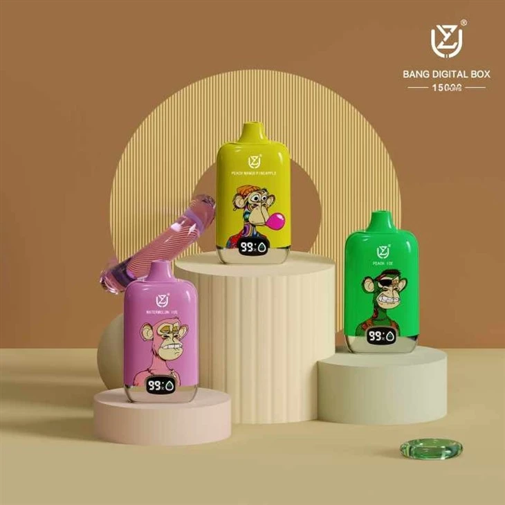 UZY BANG DIGITAL BOX 12000