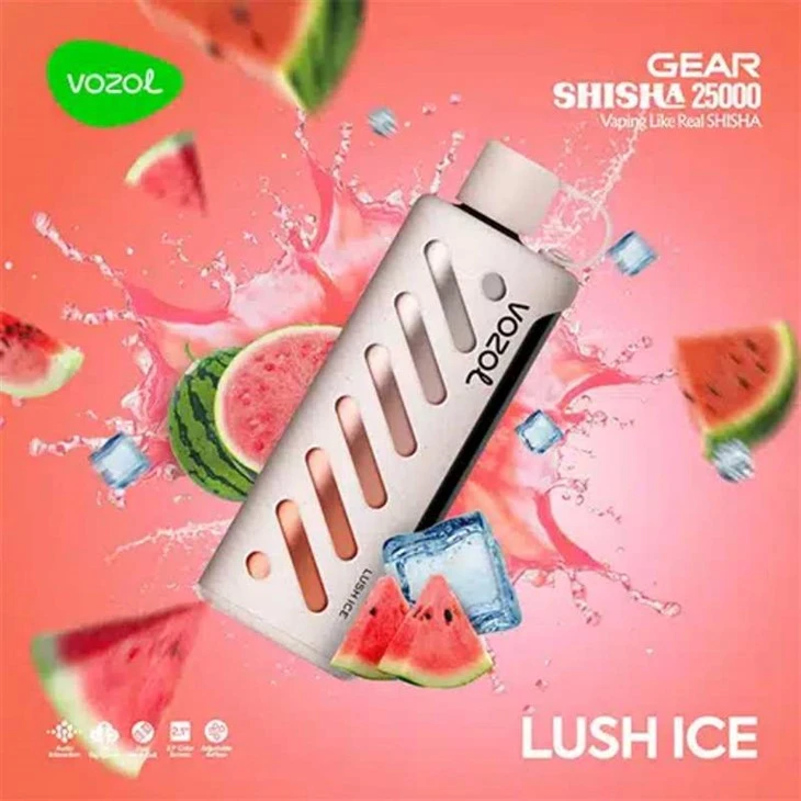 VOZOL GEAR SHISHA 25K