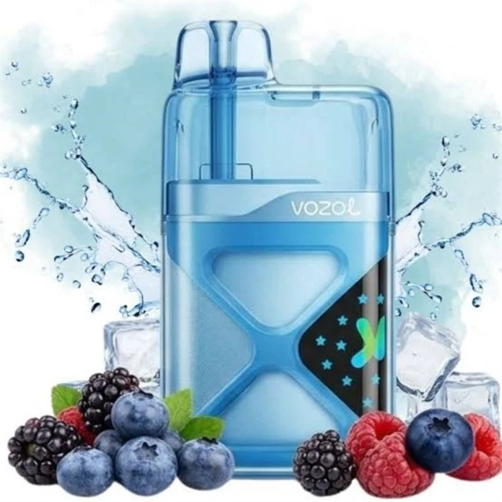 VOZOL Neon 60K suppliers